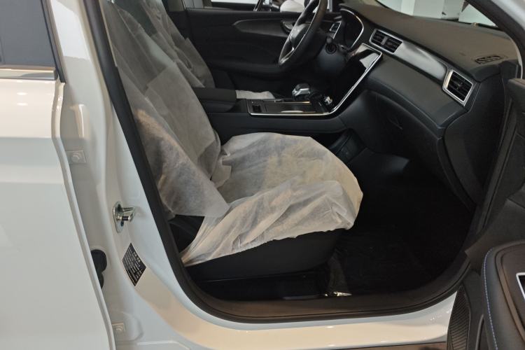 Used Roewe RX5 2023 PLUS 330TGI Automatic Trendsetting Smart Edition Right Front Seat