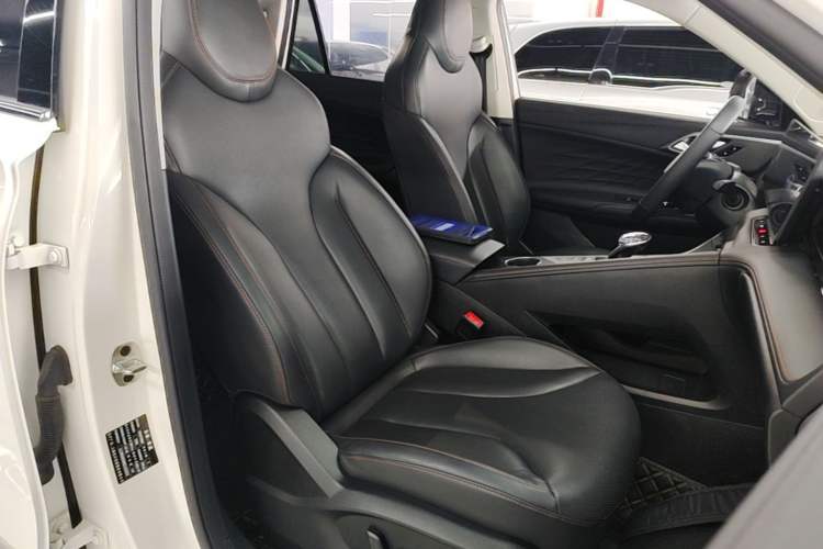 Used Roewe RX5 2023 1.5T Luxury Sliding-Screen Version Right Front Seat