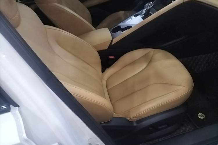 Used Roewe RX5 2023 1.5T Elite Edition Right Front Seat