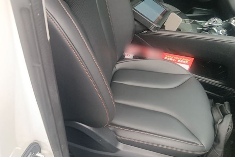 Used Roewe RX5 2023 1.5T Elite Edition Right Front Seat