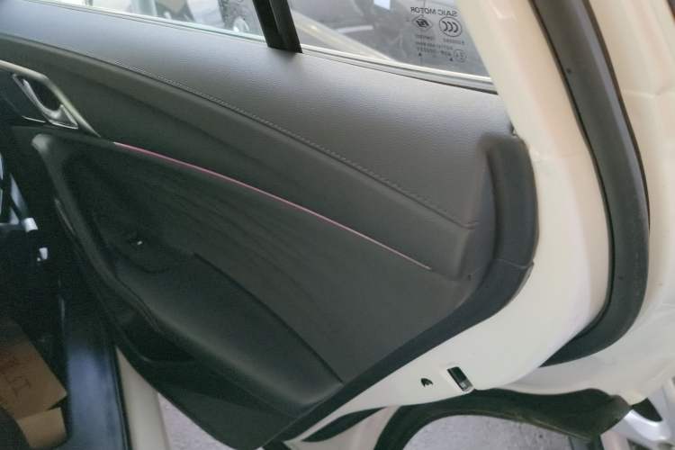 Used Roewe RX5 2023 1.5T Flagship Intelligent Driving Edition Right Rear Door Interior