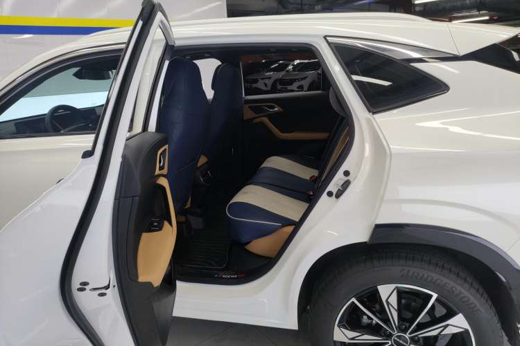 Used Roewe RX5 2023 1.5T Luxury Sliding-Screen Version Right Rear Seat