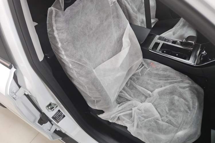 Used Roewe RX5 2025 PLUS 330TGI Automatic Trendsetting Smart Edition Right Front Seat