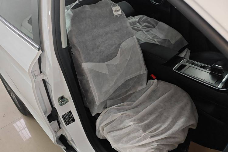 Used Roewe RX5 2025 PLUS 330TGI Automatic Trendsetting Smart Edition Right Front Seat