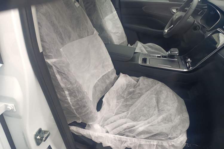 Used Roewe RX5 2025 PLUS 330TGI Automatic Trendsetting Smart Edition Right Front Seat