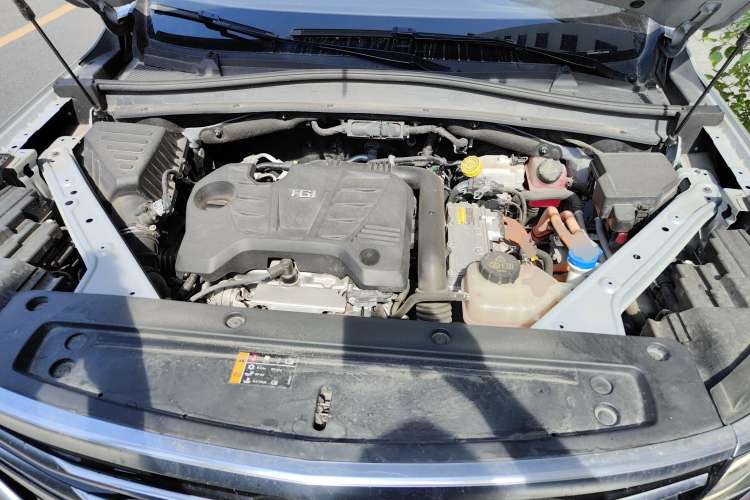 Used Roewe RX5 eMAX 2020 500 PHEV 4G-Connected Luxury Edition Engine Bay