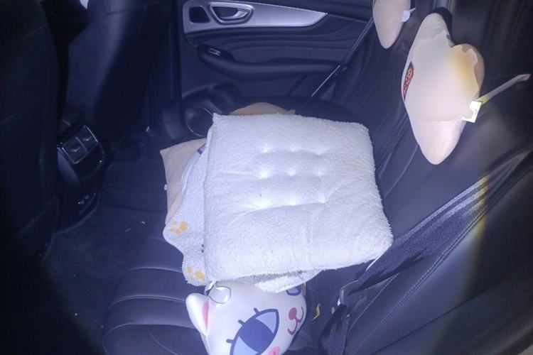 Used Roewe RX5 eMAX 2020 500 PHEV 4G-Connected Luxury Edition Left Rear Seat
