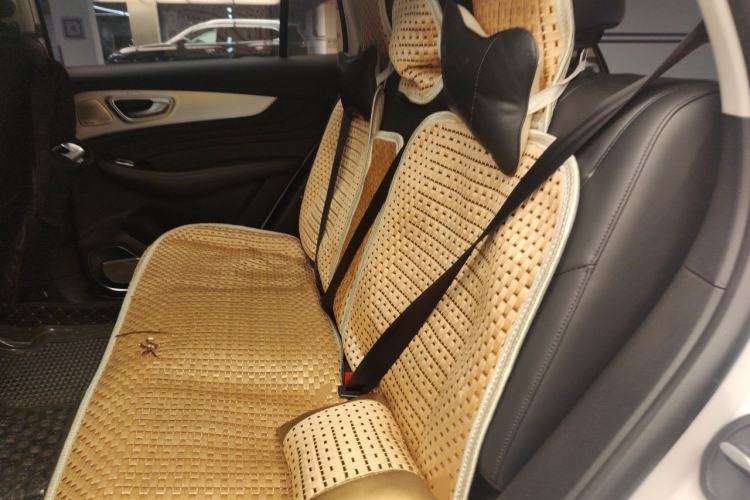 Used Roewe RX5 eMAX 2020 500 PHEV Smart Cabin Flagship Edition Left Rear Seat