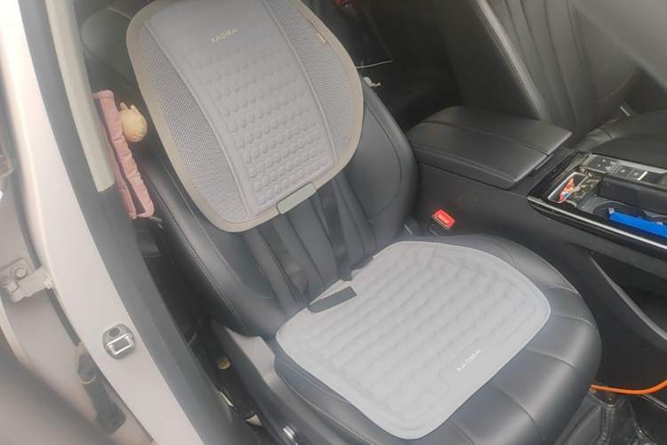 Used Roewe RX5 eMAX 2020 500 PHEV Smart Cabin Flagship Edition Right Front Seat