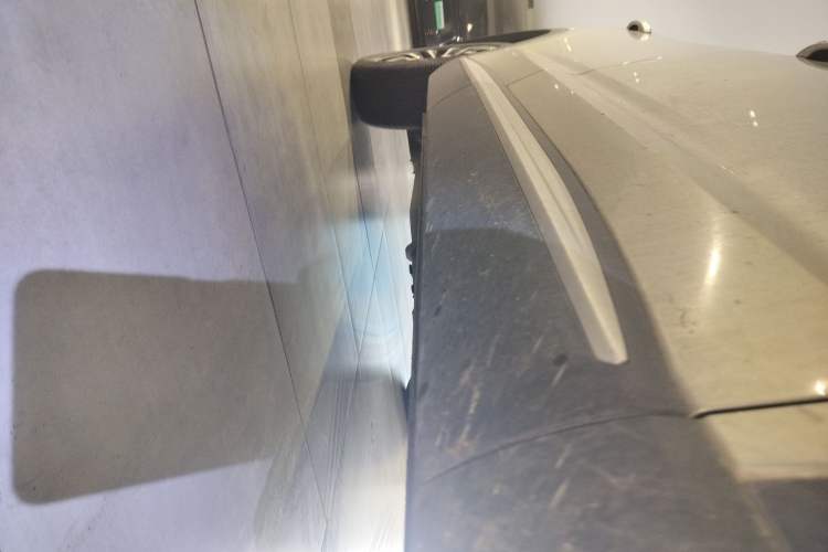 Used Roewe RX5 eMAX 2020 500 PHEV 4G-Connected Luxury Edition Right Side Sill