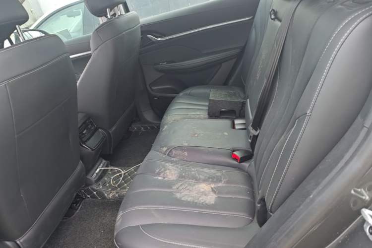 Used Roewe RX5 eMAX 2022 1.5T PHEV Fearless Prestige Edition Left Rear Seat