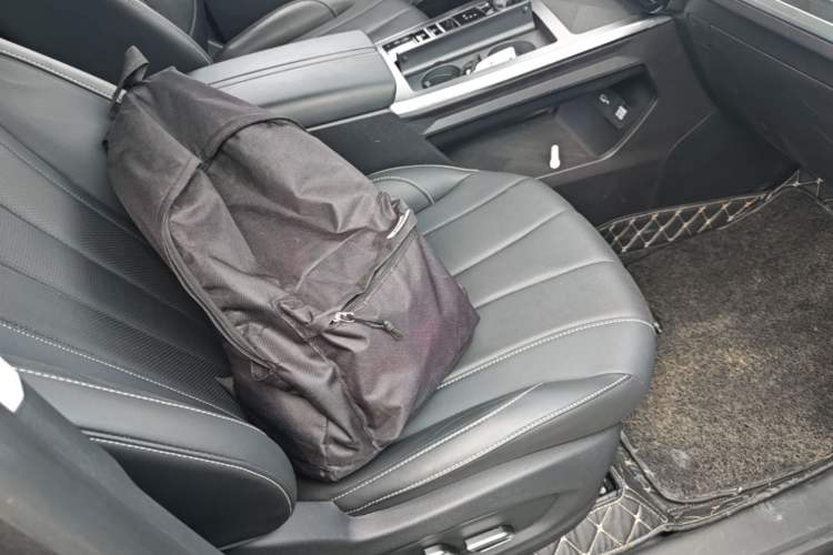 Used Roewe RX5 eMAX 2022 1.5T PHEV Fearless Prestige Edition Right Front Seat