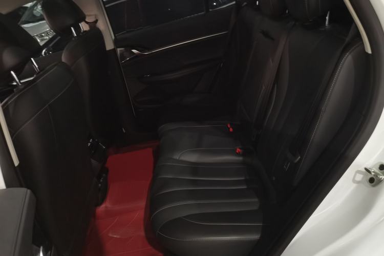 Used Roewe RX5 eMAX 2022 1.5T PHEV Fearless Deluxe Edition Left Rear Seat