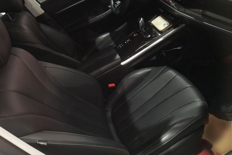 Used Roewe RX5 eMAX 2022 1.5T PHEV Fearless Deluxe Edition Right Front Seat