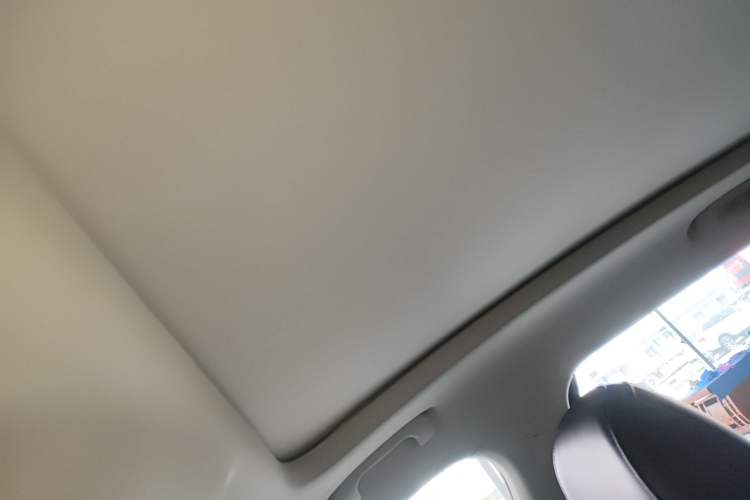 Used Roewe RX5 MAX 2021 Supreme Series 300TGI Automatic Smart Cabin Edition Headliner