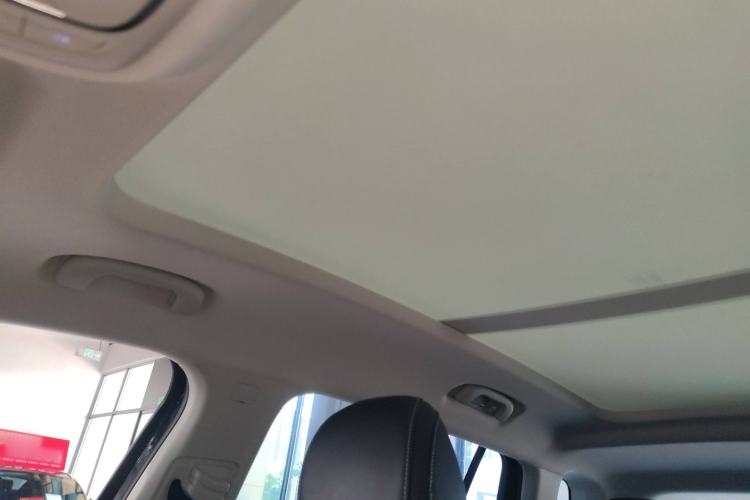 Used Roewe RX5 MAX 2022 1.5T Automatic Youwei Luxury Edition Headliner