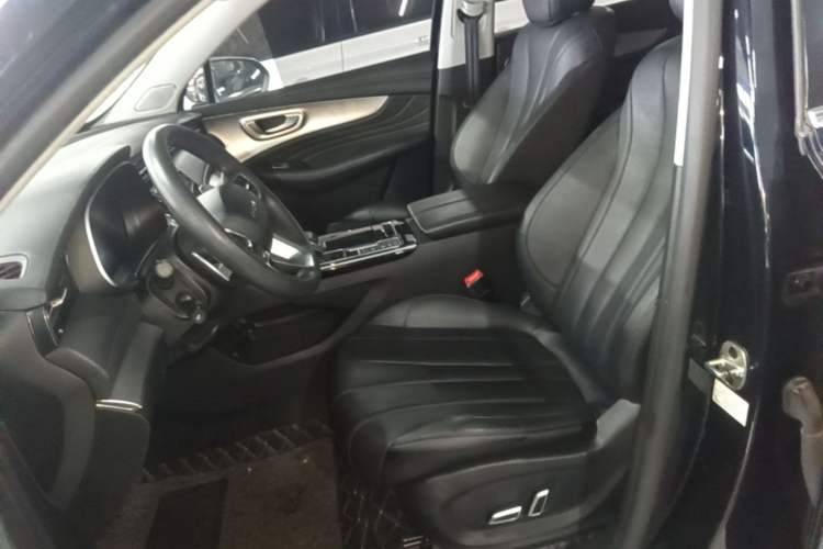 Used Roewe RX5 MAX 2019 300TGI Automatic 4G Connect Luxury Edition Left Front Seat