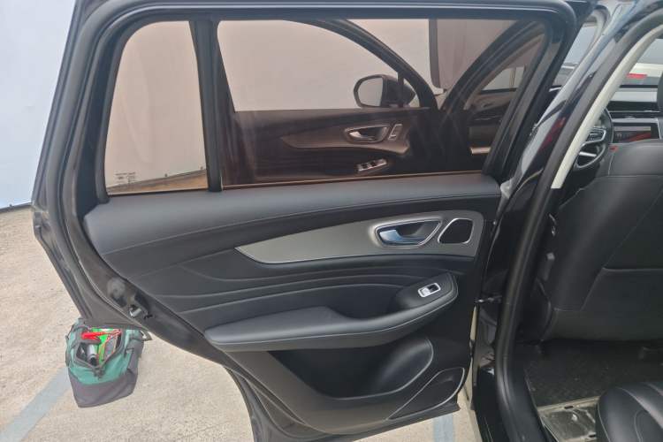 Used Roewe RX5 MAX 2019 300TGI Automatic Smart Cabin Luxury Edition Left Rear Door Interior