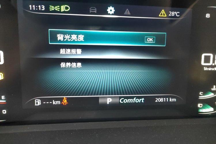 Used Roewe RX5 MAX 2019 400TGI Automatic 4G Connect Luxury Edition Odometer Close Up