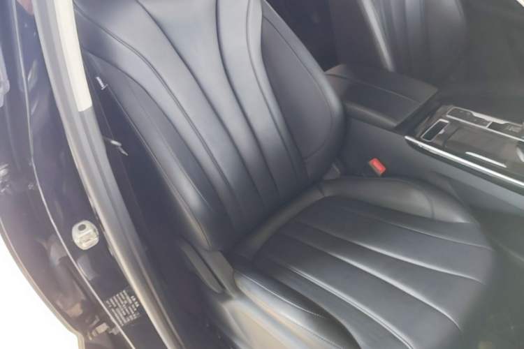 Used Roewe RX5 MAX 2019 300TGI Automatic 4G Connect Luxury Edition Right Front Seat