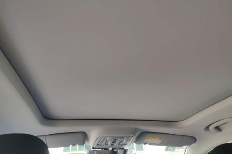 Used Roewe RX5 MAX 2019 300TGI Automatic Smart Cabin Luxury Edition Headliner
