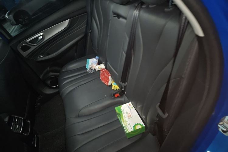 Used Roewe RX5 MAX 2019 300TGI Automatic 4G Connect Luxury Edition Left Rear Seat