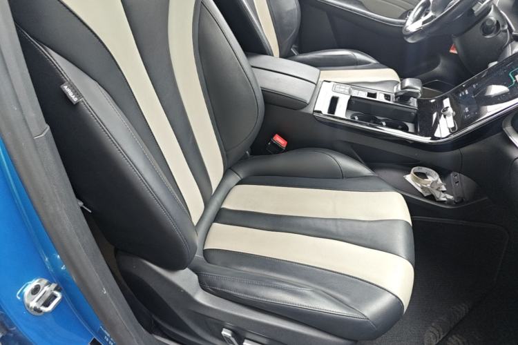 Used Roewe RX5 MAX 2019 400TGI Automatic Smart Cabin Flagship Edition Right Front Seat