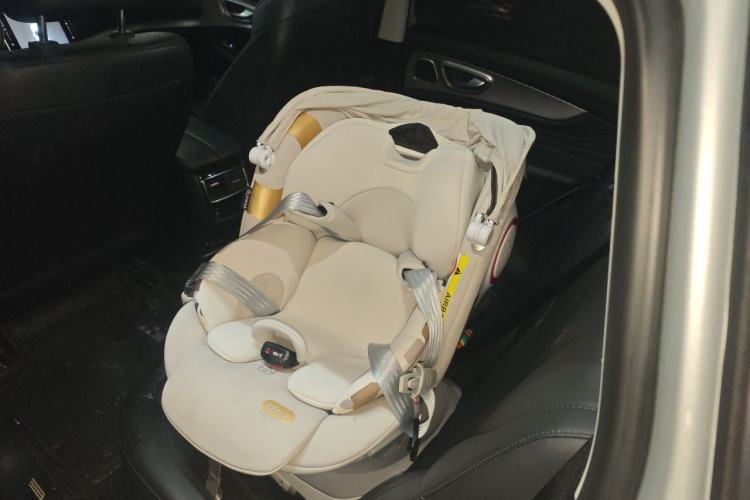 Used Roewe RX5 MAX 2019 300TGI Automatic 4G Connect Luxury Edition Left Rear Seat