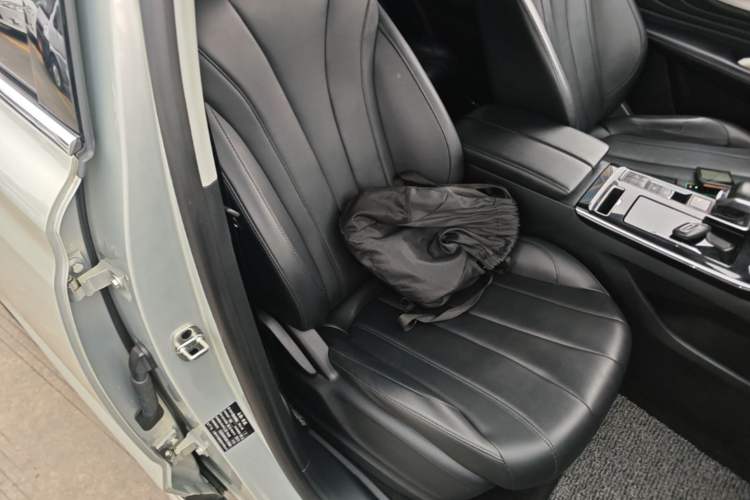 Used Roewe RX5 MAX 2019 300TGI Automatic Smart Cabin Luxury Edition Right Front Seat