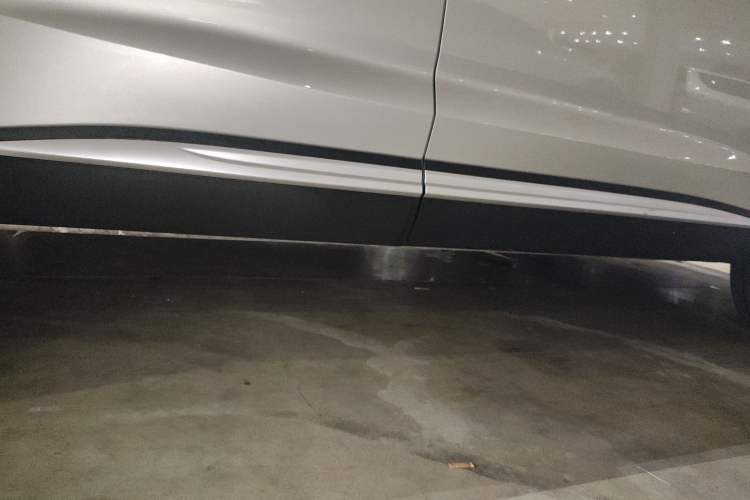 Used Roewe RX5 MAX 2019 300TGI Automatic 4G Connect Luxury Edition Right Side Sill