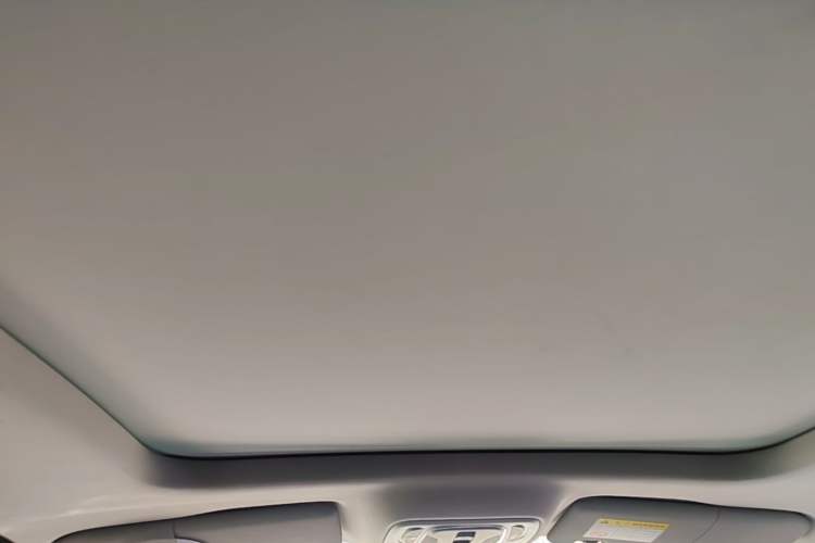 Used Roewe RX5 MAX 2019 400TGI Automatic Smart Cabin Flagship Edition Headliner