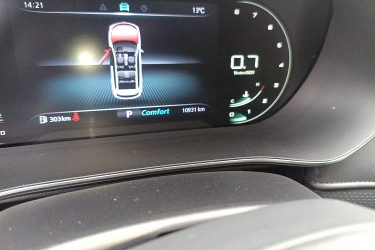 Used Roewe RX5 MAX 2019 300TGI Automatic 4G Connect Luxury Edition Odometer Close Up