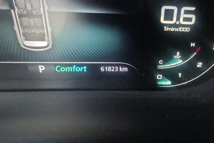 Used Roewe RX5 MAX 2019 400TGI Automatic 4G Connect Luxury Edition Odometer Close Up