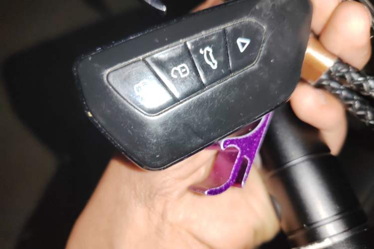 Used Roewe RX5 MAX 2019 300TGI Automatic 4G Connect Luxury Edition Vehicle Key