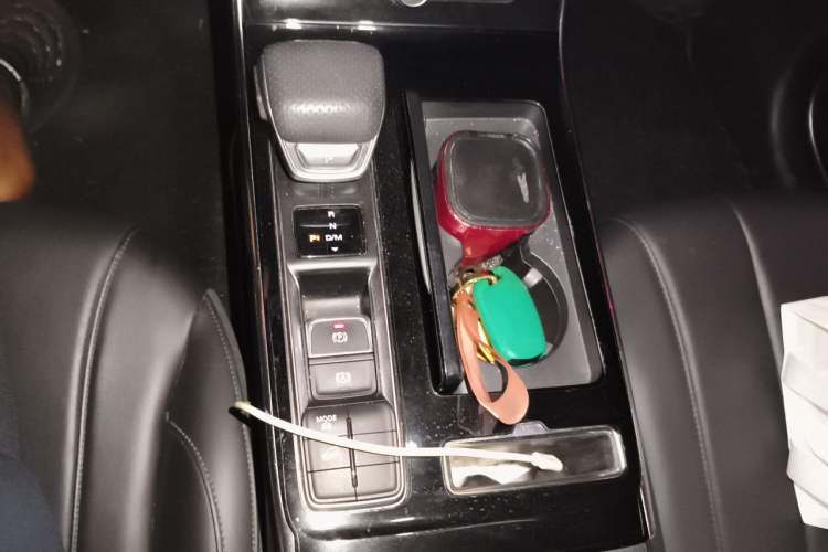 Used Roewe RX5 MAX 2019 300TGI Automatic 4G Connect Luxury Edition Gear Lever
