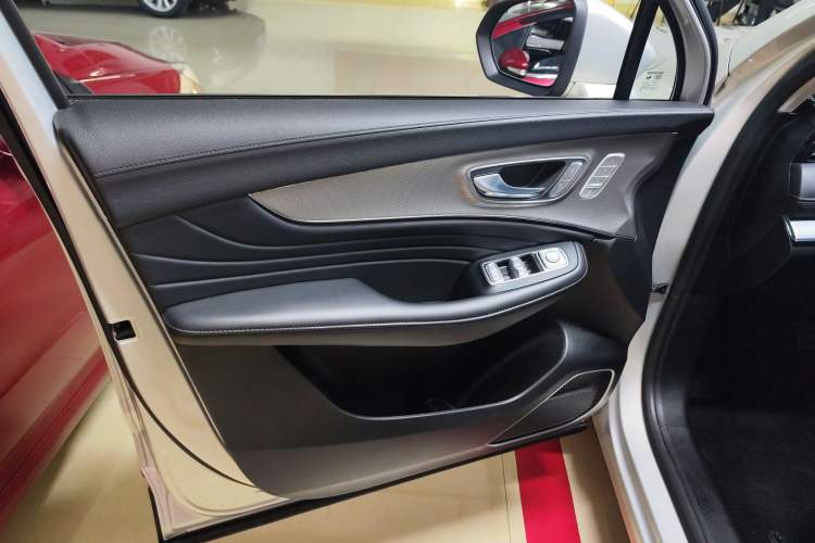 Used Roewe RX5 MAX 2019 300TGI Automatic Smart Cabin Luxury Edition Left Front Door Interior