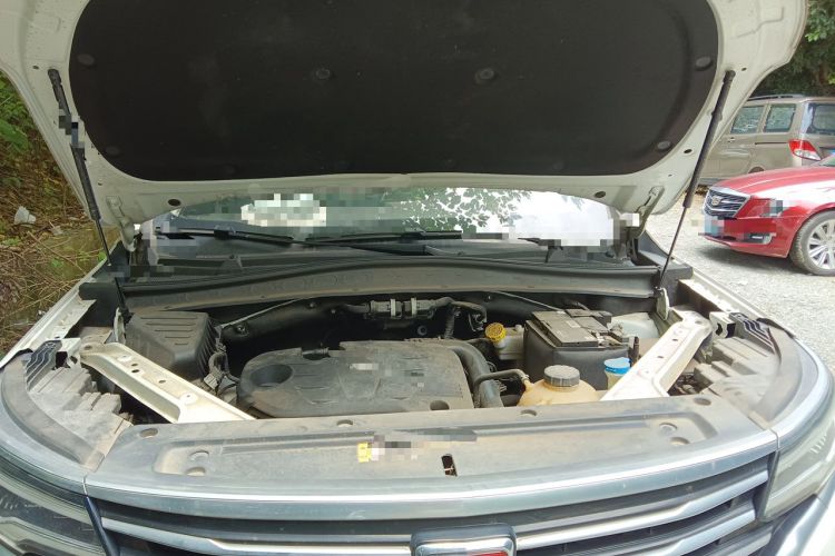 Used Roewe RX5 MAX 2019 300TGI Automatic 4G Connect Luxury Edition Engine Bay