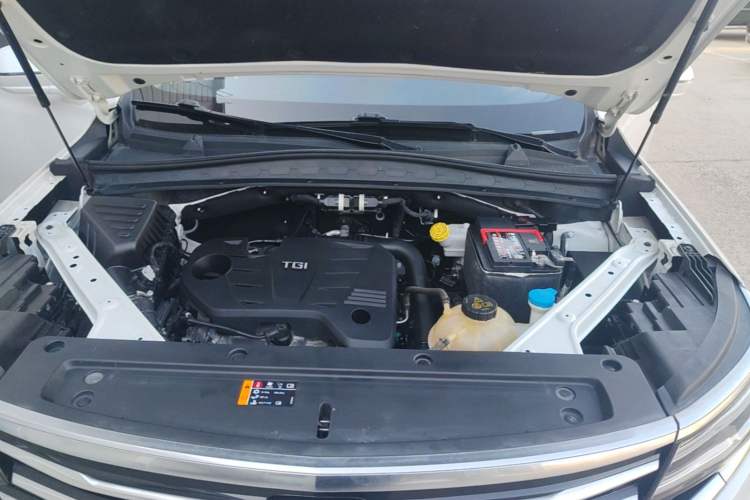 Used Roewe RX5 MAX 2019 300TGI Automatic 4G Connect Luxury Edition Engine Bay