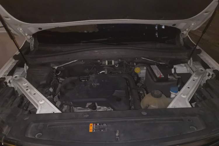 Used Roewe RX5 MAX 2019 300TGI Automatic 4G Connect Luxury Edition Engine Bay