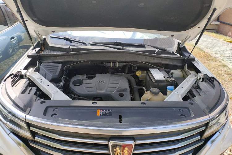 Used Roewe RX5 MAX 2019 300TGI Automatic Intelligent Driving Health Cabin Edition Engine Bay