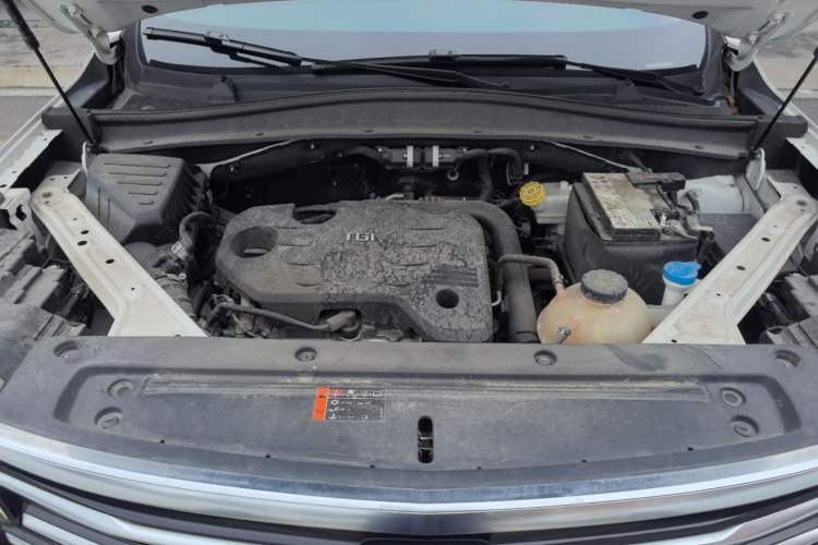 Used Roewe RX5 MAX 2019 300TGI Automatic 4G Connect Luxury Edition Engine Bay