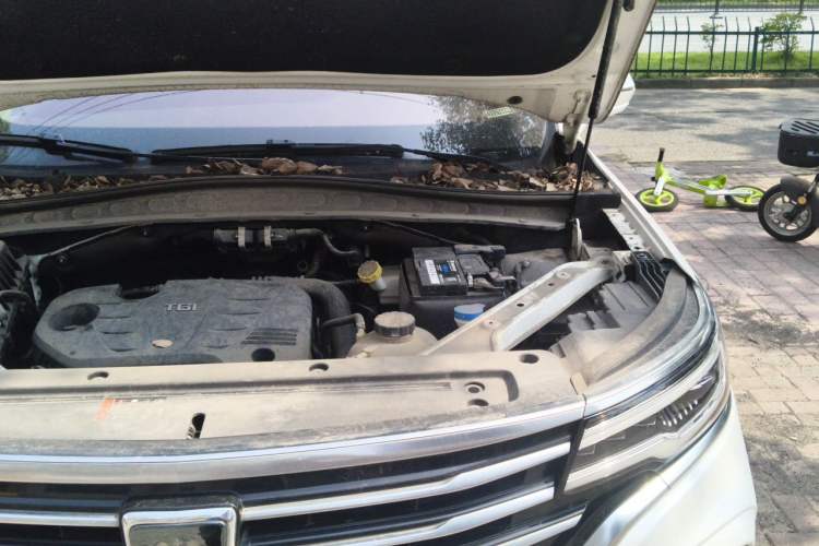 Used Roewe RX5 MAX 2019 300TGI Automatic 4G Connect Luxury Edition Engine Bay Left
