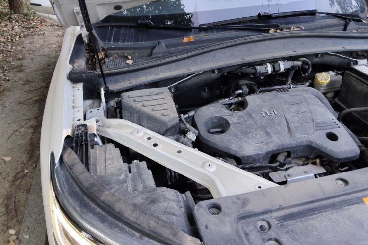 Used Roewe RX5 MAX 2019 300TGI Automatic 4G Connect Luxury Edition Engine Bay Right