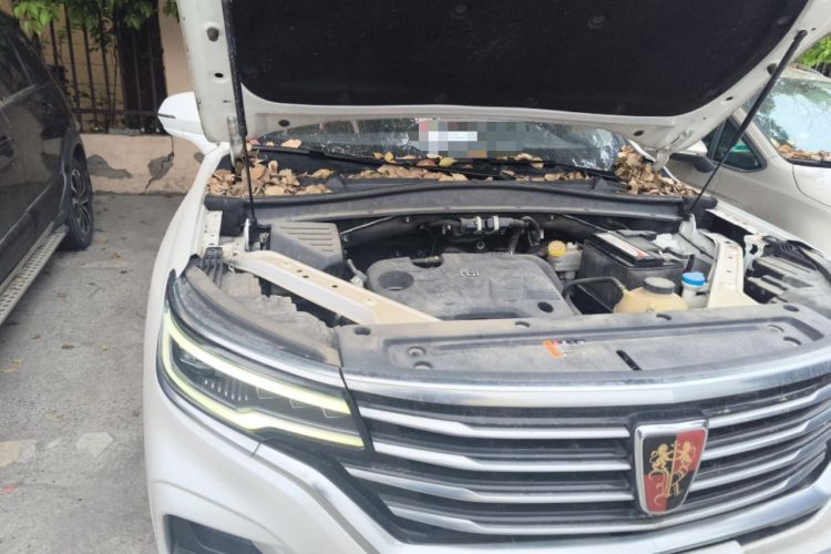 Used Roewe RX5 MAX 2019 300TGI Automatic 4G Connect Luxury Edition Engine Bay Right