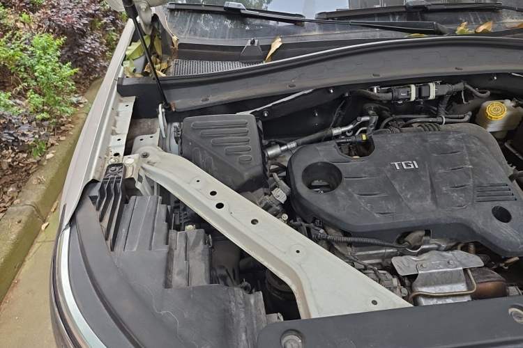 Used Roewe RX5 MAX 2019 300TGI Automatic 4G Connect Luxury Edition Engine Bay Right