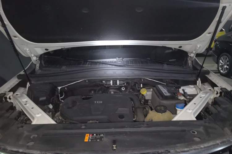 Used Roewe RX5 MAX 2019 300TGI Automatic Smart Cabin Luxury Edition Engine Bay