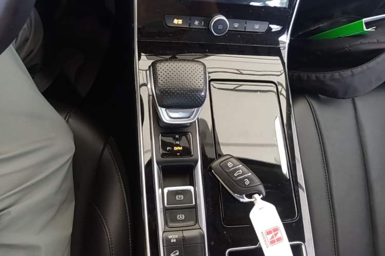 Used Roewe RX5 MAX 2019 300TGI Automatic 4G Connect Luxury Edition Gear Lever