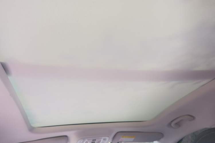 Used Roewe RX5 MAX 2019 300TGI Automatic Smart Cabin Flagship Edition Headliner
