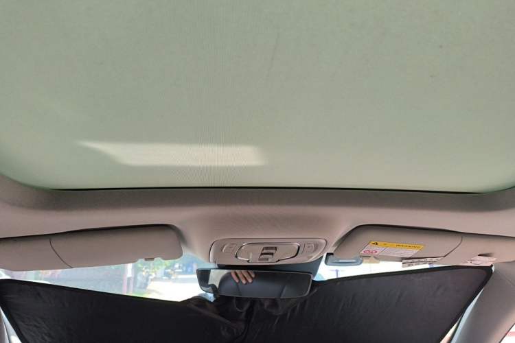 Used Roewe RX5 MAX 2019 300TGI Automatic Smart Cabin Flagship Edition Headliner