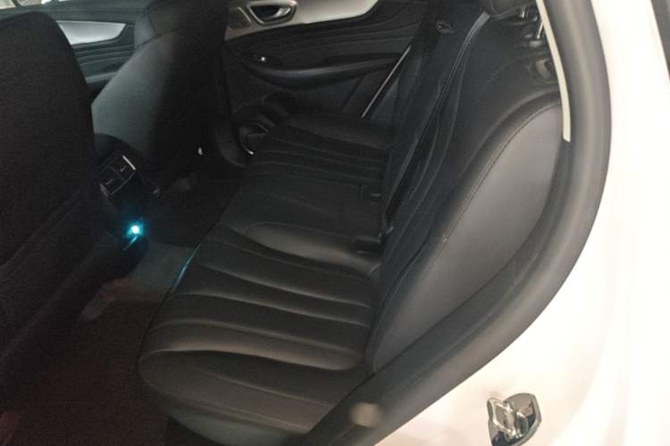Used Roewe RX5 MAX 2019 300TGI Automatic Smart Cabin Luxury Edition Left Rear Seat
